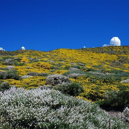 فيلا Casa El Correo Puntallana المظهر الخارجي الصورة